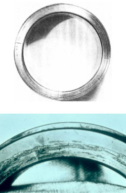 合肥仁楷智能装备有限公司